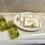 Hotel Central 3*