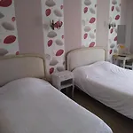 Hotel Hôtel Central 3*
