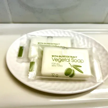 オテル セントラル 3* Chaunay