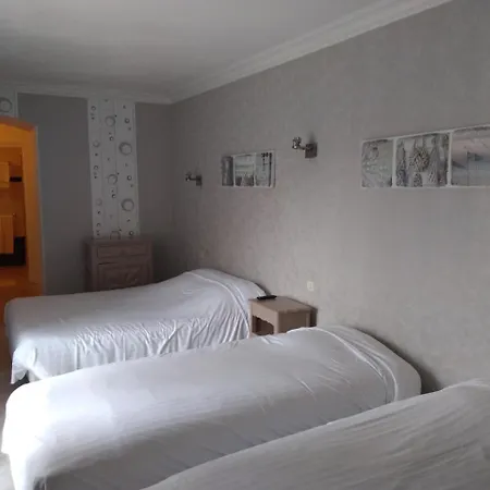 Hôtel Central Chaunay