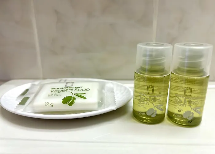 Hotel Central Chaunay