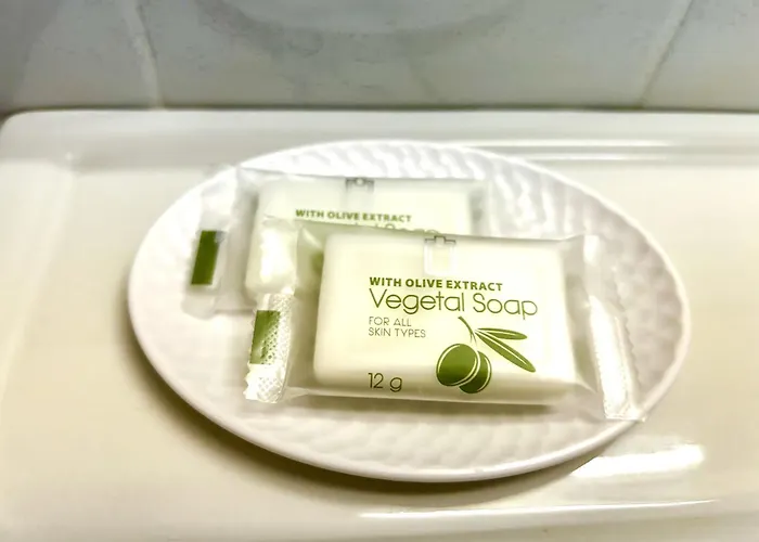 Hotel Central 3* Chaunay