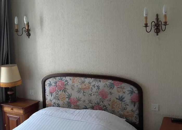 Hotel Central Chaunay